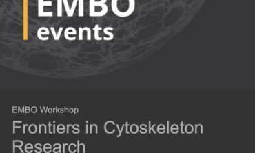 Frontiers in Cytoskeleton Research 2025