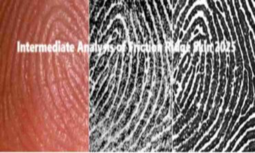 Intermediate Analysis of Friction Ridge Skin 2025