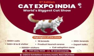 cat expo