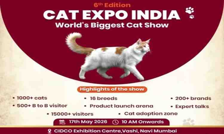 cat expo