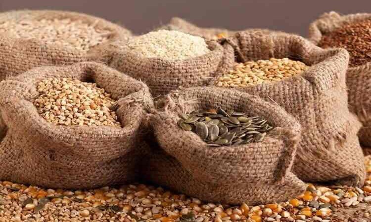 New Grain Market Patiala Punjab