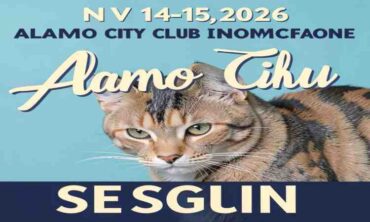 Alamo City Cat Club – Seguin 2026