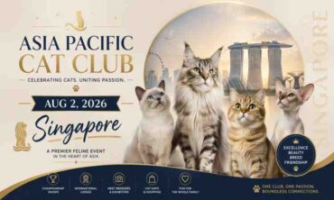 Asia Pacific Cat Club – Singapore 2026