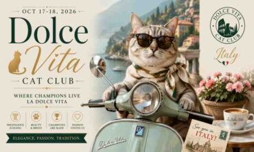 Dolce Vita Cat Club – Italy 2026