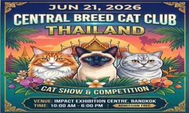 Central Breed Cat Club 2026