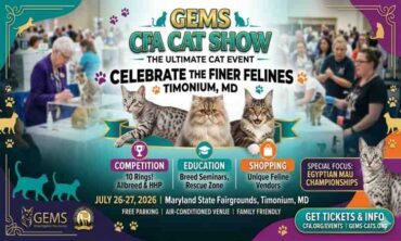 GEMS CFA Cat Show United State 2026