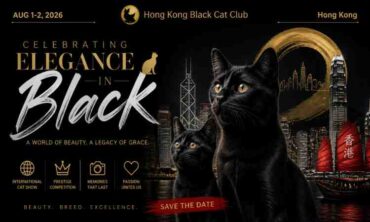 Hong Kong Black Cat Club 2026