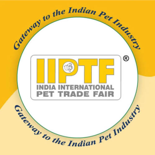 Strategic & International Industry Partners