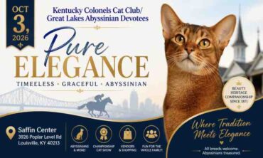 Kentucky Colonels Cat Club/Great Lakes Abyssinian Devotees 2026 Louisville, KY