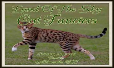 Land Of The Sky Cat Fanciers 2026