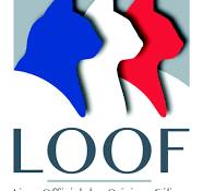 Host Clubs & Organizations