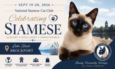 National Siamese Cat Club – Lake Road Brockport 2026