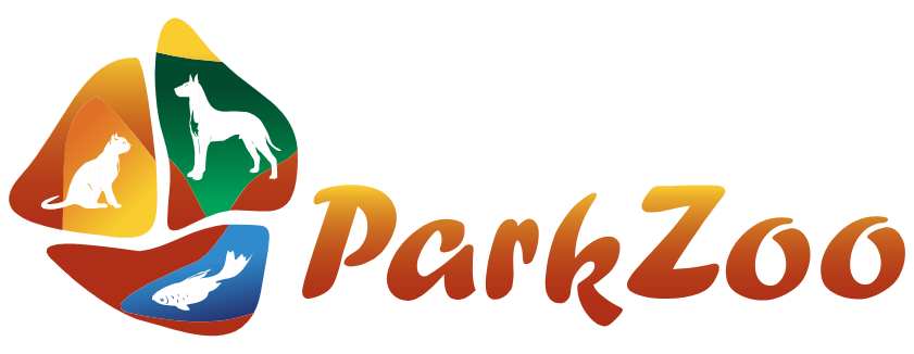Official Event & Media Partners