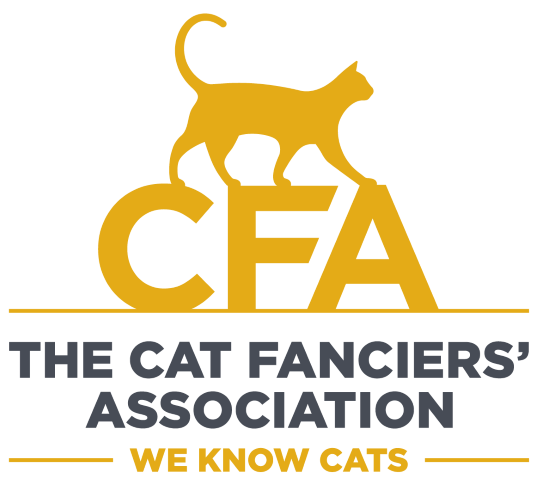 Official Sponsors