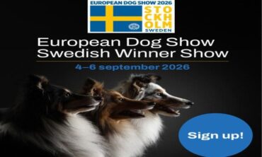 STOCKHOLM HUNDMÄSSA 2026