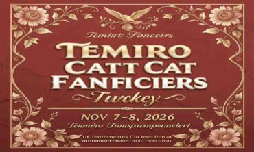Temiro Cat Fanciers – Turkey 2026