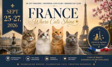 UK Cat Fanciers/Universal Cats Club/Orange Cat Club – France 2026