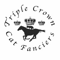 Official Licensing Organization
