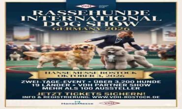 RasseHunde International Dog Show