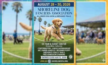 Shoreline Dog Fanciers Association Show