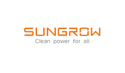 Leading Global Sponsors & Partners