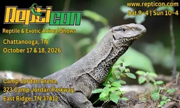 Repticon Chattanooga Show
