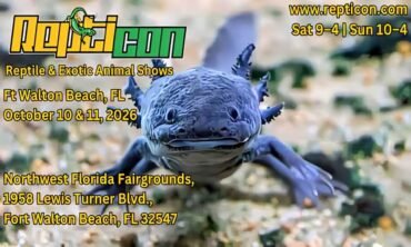 Repticon Fort Walton Beach Show